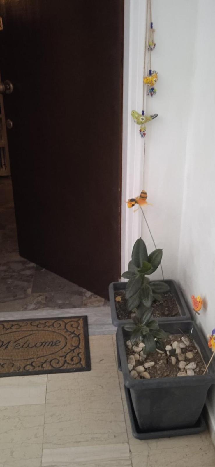 Campelina Home, 2Bd Near Corfu Town Zewnętrze zdjęcie